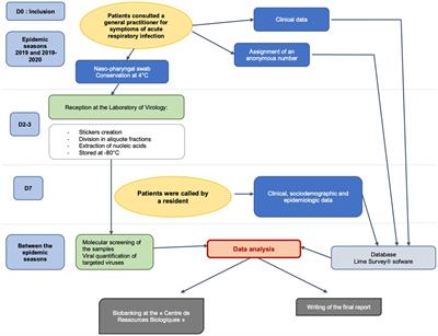 Positive and negative viral associations in patients with acute respiratory tract infections in primary care: the ECOVIR study